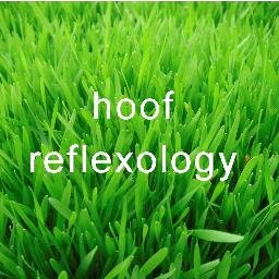 Treating trotters in NW6 and surrounding. Affordable reflexology. Specialising in maternity and fertility.
hoofreflexology@gmail.com
