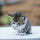 ~ (@01016M) Twitter