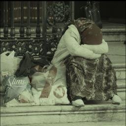 Homeless Solution Identified