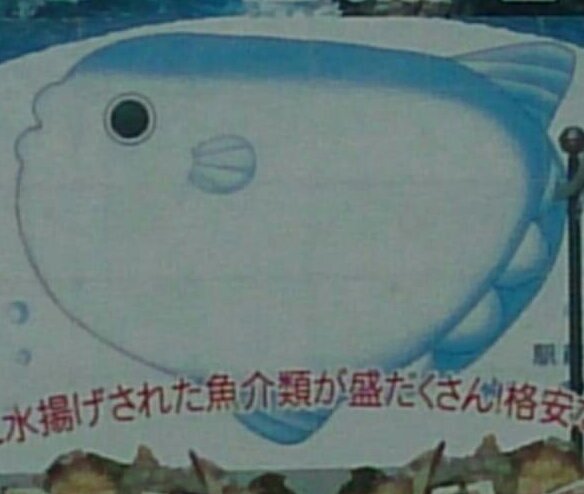 ひょろろん Ahahayahahan Twitter ひょろろん Ahahayahahan Twitter