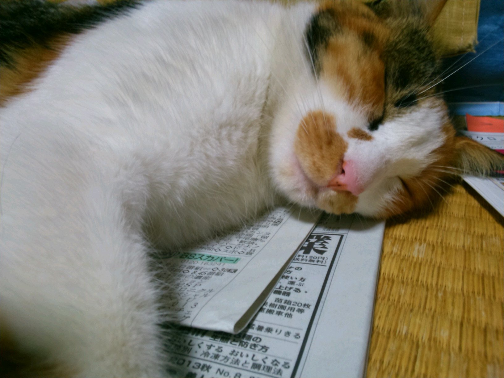 GLAY大好き♪