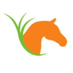 Equine Wellness is the leading source of holistic information for horses. We also partner with horse rescues to save lives!