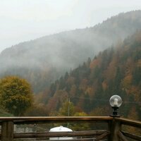 fitikettiler (@tnozlm) 's Twitter Profile
