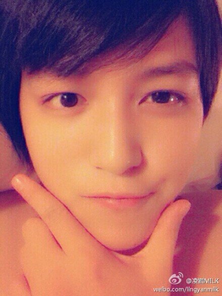 TomboyYanMilk Profile Picture