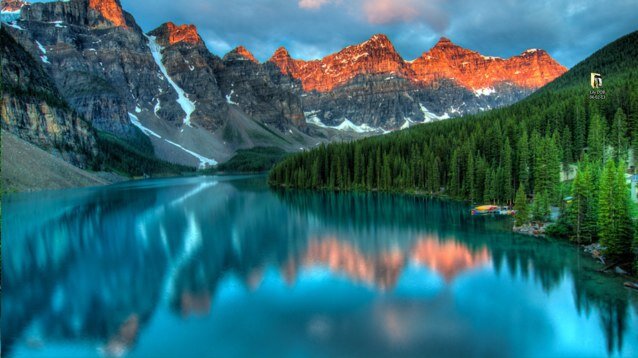 wanderingwillyc's profile picture. 