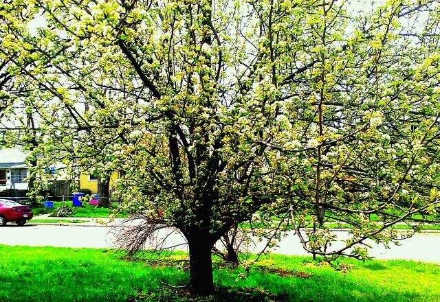 DoiItThoroughly's profile picture. 