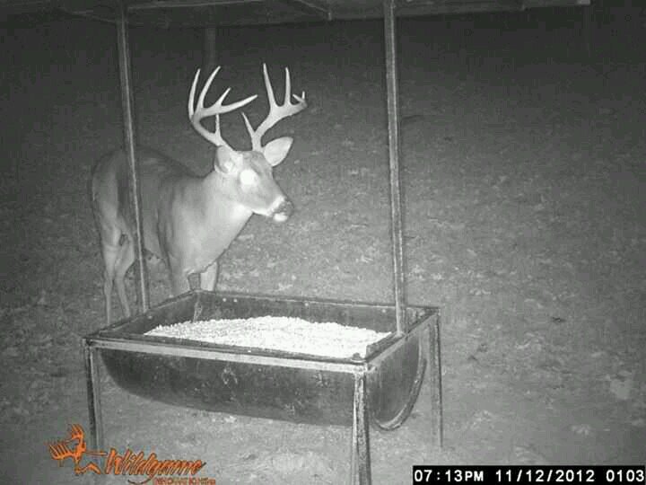 jbselby2003's profile picture. 