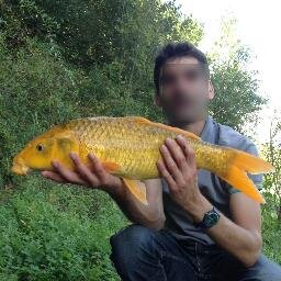 amoureux de la pêche et particuliere de la peche a carpe je vous propose de suivre mes aventures