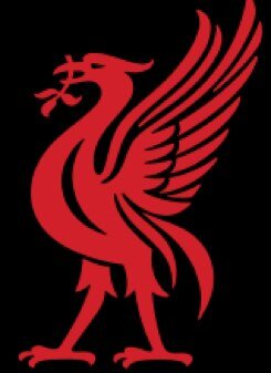 I love football my favorite team is liverpool.I also follow back .