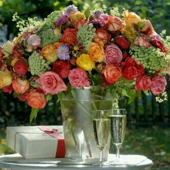 Mesh12Mesh's profile picture. 