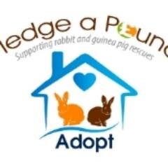 To help and support rabbit rescues in the UK ask to join our group on Facebook https://t.co/jnpLFDemoJ