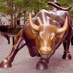 FProge's profile picture. Zodiakalny byk jak widać z resztą na zdjęciu. Trochę się dopiero uczę tych całych internetów.