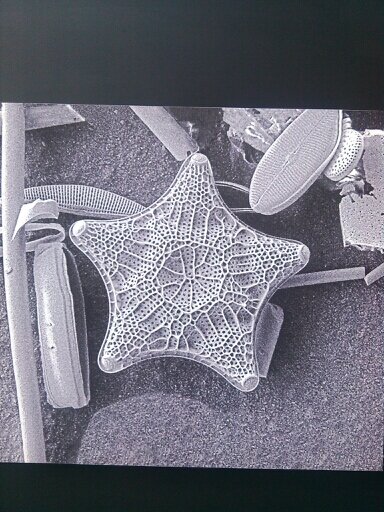 Crushito_Trance's profile picture. Imaginando un mundo, nuevo.!! ^_~