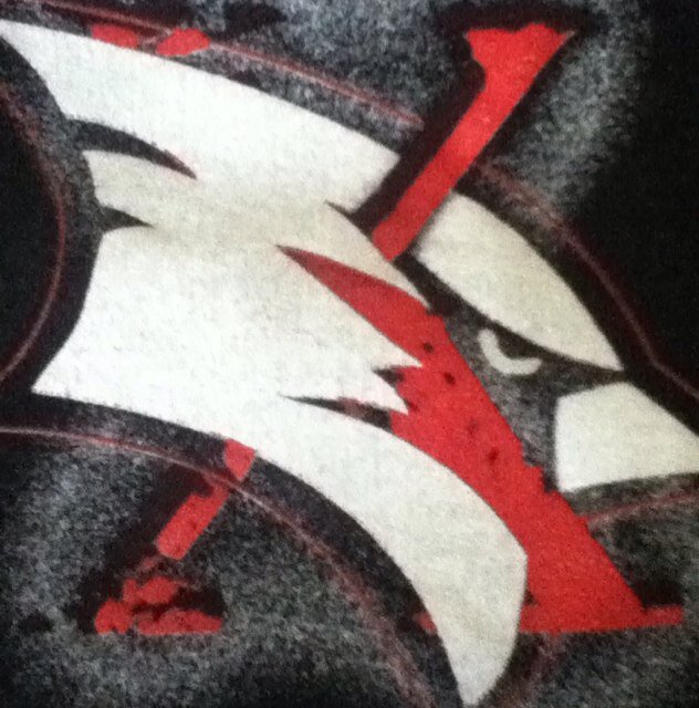 We want svsu girls to send us your sexiest school pride pictures. No full nude will be shown. Send email svsugirlsdaily@gmail.com snapchat to SVSUGirls_Daily