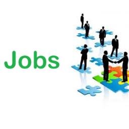jobluin's profile picture. Joblu is a job portal provide millions of jobs in IT, Marketing, Central government jobs for freshers and experienced candidates.