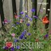 St. vr. Huisseling (@vr_v_huisseling) Twitter profile photo