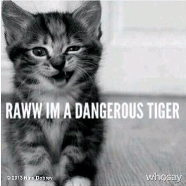 geheimpjexxx's profile picture. Dance like there's nobody watching, love like you'll never be hurt, sing like there's nobody listening and live like it's heaven on earth.