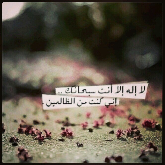‏‏‏‏اللهم ارحم ((ابي)) وادخله الجنه من غير حساب ووسع له قبره امواتنا واموات المسلمين