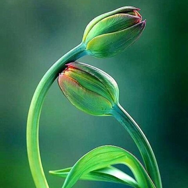 acc4beneficial's profile picture. اللهم يا محّول الحول والأحوال ، حوّل حالنا لأحسن حال ، بحولك وقدرتك يا عزيز يا متعال ...