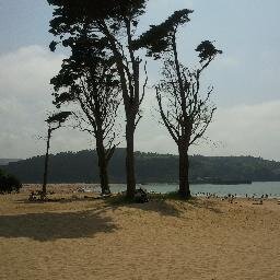 Estherdc13's profile picture. Archivera autónoma.