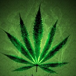 Tweets for the stoners, potheads, and everyone in between.