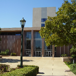 Texas Courts Profile