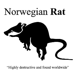 Norwegian clothing brand with the dark and mysterious sides of Norway in mind. We front Norway's mighty history with quality crafted clothes as our weapon.