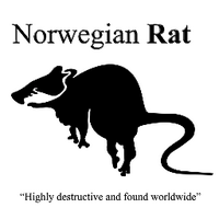 Norwegian Rat (@norwegianrat) 's Twitter Profile