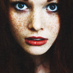 || ginger || phoebe ||