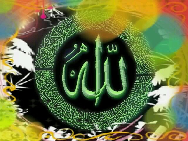 45 Gambar Logo Bunga Teratai Terbaru Koleksi Gambar Logo