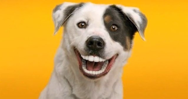 andrewforrest76's profile picture. 