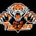 Taos Youth Hockey (@taoshockey) Twitter profile photo