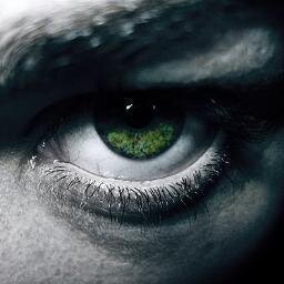 Alios ego vidi ventos; alias prospexi animo procellas