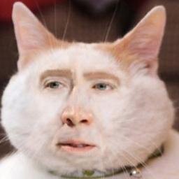 ssourcat's profile picture. x