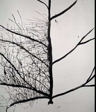 Kec44's profile picture. Oncology nurse, mum to 2 fantastic children and wife to a very long suffering husband!