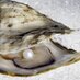 Vancouver Oysterfest (@vancouveroyster) Twitter profile photo