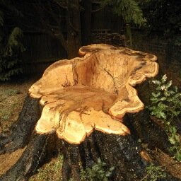 log sales & green waste collection service