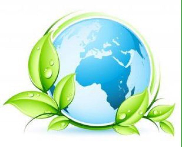 NStyrofoam's profile picture. 