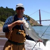 David Austin (@mymyopia) 's Twitter Profile