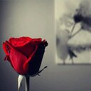 וﻟۅﻟﯾد ﺎﻟﯾاוمي ~♥ (@0501621418) Twitter
