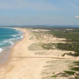 Belmont Wetlands State Park news and information
Beach, bush and park in the heart of Lake Macquarie, near Newcastle NSW
