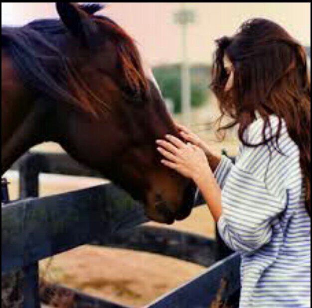 حِكَاية تَبدأ ؛ وَ اُخَرىّ تَنتهيْ ؛ لآ شِيءّ يُخلَد والأيَام تَمضِي وَخَلف تَلكَ السَماء أحَلاَمُنا وَ رَبّ السَماء كَريمّ ♡.. ّ