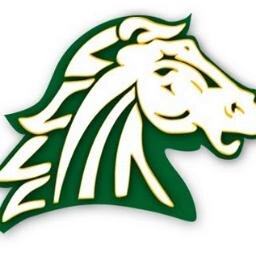 Compliments about our mustangs.