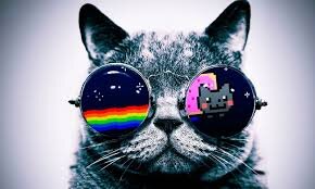 FunnyQuestionss's profile picture. 