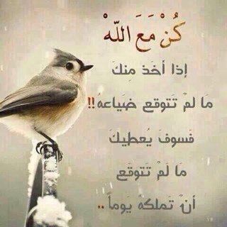 سبحان الله وبحمده سبحان الله العظيم