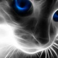 xantissa's profile picture. A lover of music and art. Games, movies, TV series, manga I love it all. A writer on ao3