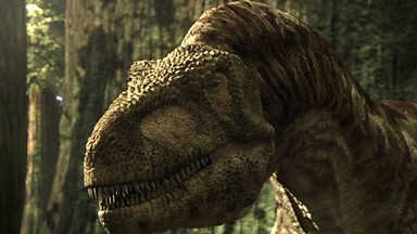DinosaurFacts13's profile picture. Follow for Dinosaur facts, for more info go to Facebook, Dinosaur Facts and Forum.