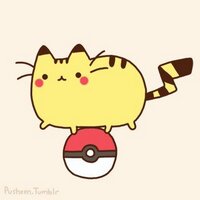 un gatito feliz