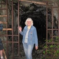 Diane Simms (@dms444simms) 's Twitter Profile