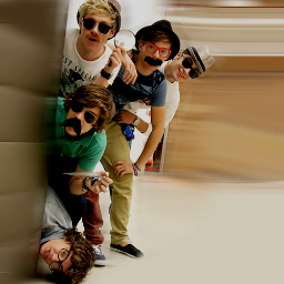 directioner